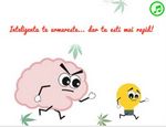 Inteligenta te urmareste...