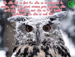 Eu stiu tot ce faci