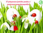 O primavara fericita
