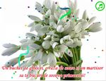 Un buchet de ghiocei