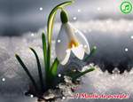 ... 1 Martie de poveste!