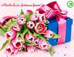 8 Martie de vis