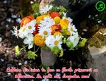 Caldura din inima ta face ca florile primaverii