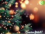 Craciun fericit!