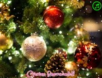 Craciun binecuvantat!