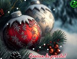 Craciun de poveste!