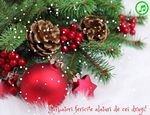 Sarbatori fericite alaturi de cei dragi!