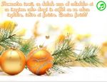 Craciun  fericit!