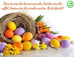 Bucuria vine din lucruri marunte