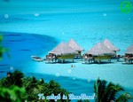 Te astept in Bora-Bora!