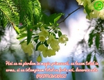Magia primaverii