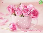 Happy Valentine's Day!